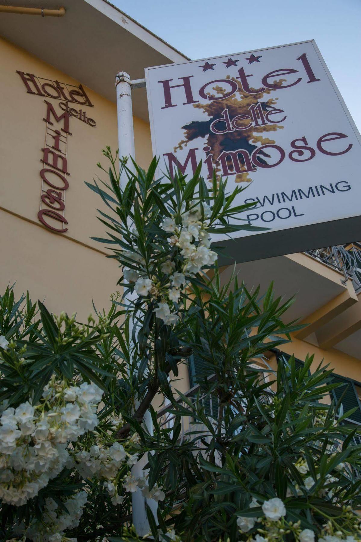 Hotel Delle Mimose Diano Marina Eksteriør billede